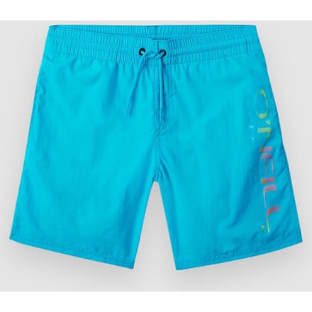 O'Neill Cali Melting 14'' Kids Boardshorts blauw