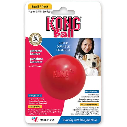Hondenbal Kong Company