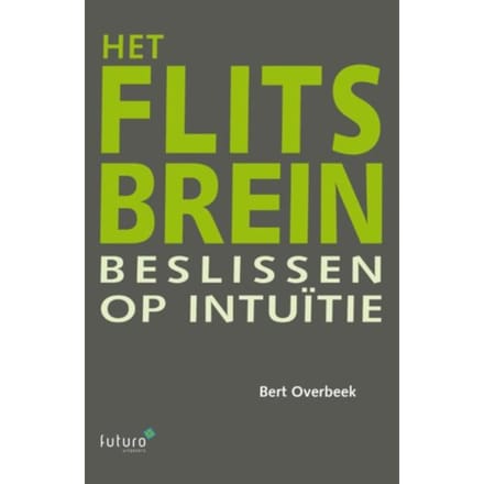 Het Flitsbrein - Bert Overbeek