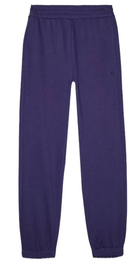 Uniseks Sportbroek Blauw 4F U0826 - Comfortabel en Functioneel - Maat XL
