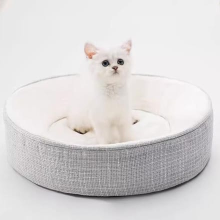 Litière pour chat Four Seasons Universal Memory Sponge Litière pour chat Deep Sleep Litière pour chien Litière pour chien de petite et moyenne taille Lit pour chiot Teddy pour chat white