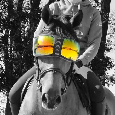 Reserve lenzen voor paardenbrillen eQuick eVysor