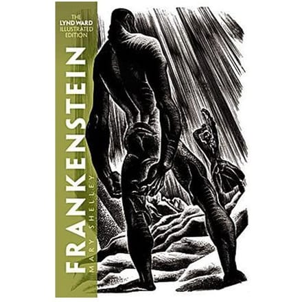 Frankenstein - Shelley, Mary