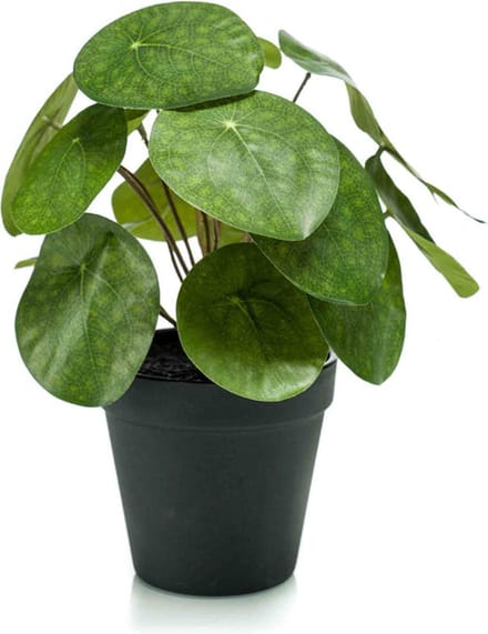 Emerald - Kunstplant in pot Pilea 22cm - Kunstplant voor binnen