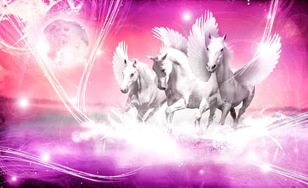 Poster | Roze | 104 x 70,5 cm