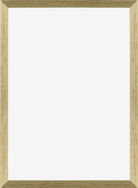Fotolijst 49x68 cm - MDF - Goud Glans - Marseille