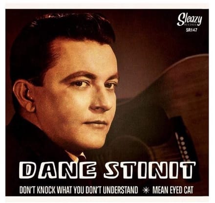 Dane Stinit - Don't Know What You Don't Understand (7" Single)