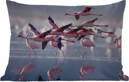 Buitenkussens - Tuin - Flamingo - Vogel - Water - Roze - 50x30 cm