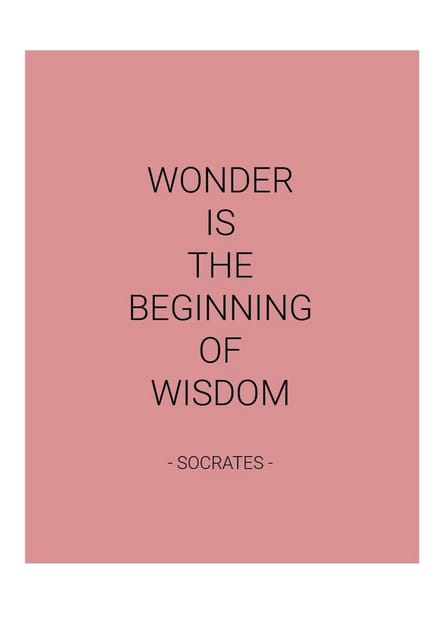 Planner - Softcover - Roze - Quote - Socrates - Weekplanner - Werk - Studie - Dagboek - Uniek - Elastiek