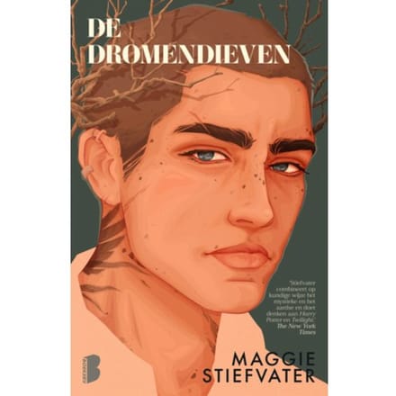 De Dromendieven - Raven - Maggie Stiefvater