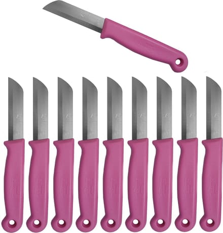 Solingen Schilmesje – RVS Glad – 16 cm met Blade Cover – Roze – 10 Stuks