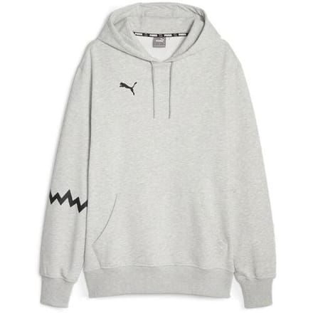 Capuchon sweaters Puma Hoops Team