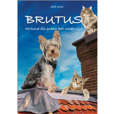 Brutus - Metje Blaak