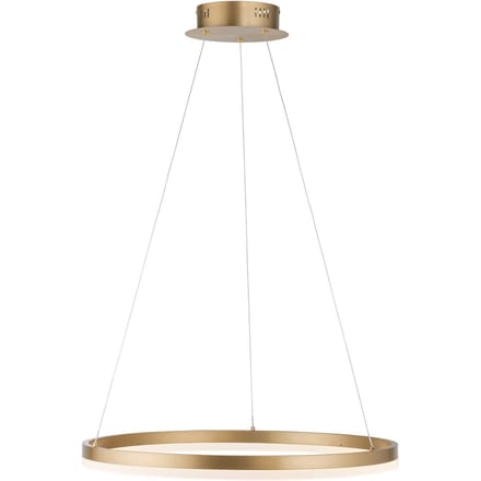 Paul Neuhaus LED hanglamp Titus, Ø 60 cm, messing, dimbaar