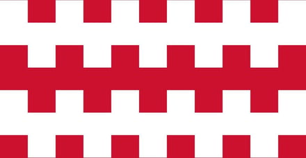 Vlag Dongen 150x225cm