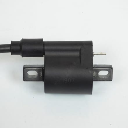 Bobine d'allumage HT P2R pour Moto Chinois 50 motocycle Neuf