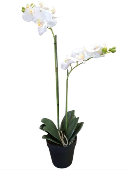 Mica Decorations kunstplant Phalaenopsis Orchidee wit H67cm D25cm