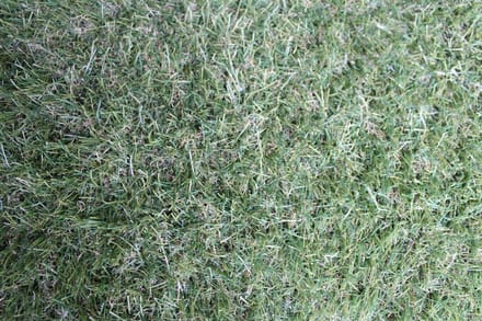 Niba® Kunstgras - 1x4m² - 30mm - Grastapijt - Groen - UV bestendig