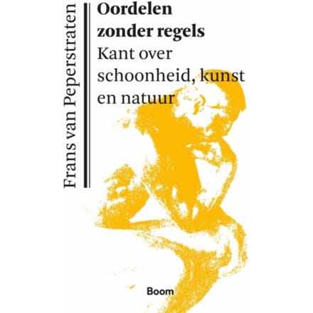 Oordelen Zonder Regels - Frans van Peperstraten
