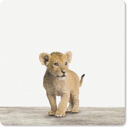 Muismat 20x20 cm - Mousepad Dieren - Leeuw - Welp - Muismatten