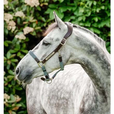 Leren halster voor paard Horseware Signature