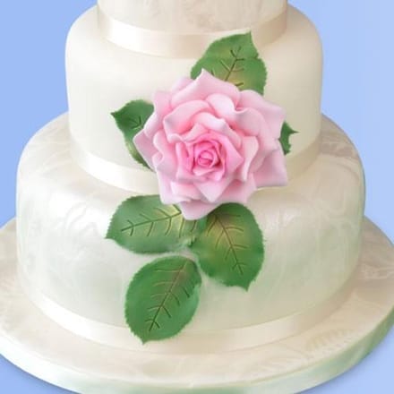 Patchwork Cutter Grandiflora Rose - grote roos uitsteekset