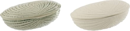 J-Line decoratie Doos Schelp - keramiek - wit/olijfgroen - 2 stuks