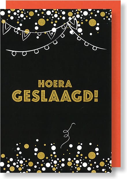 MGPcards - 6 Wenskaarten met gekleurde envelop - Geslaagd - Hoera - 11,5 x 17 cm