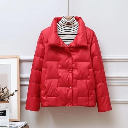 Dames Donsjack Herfst en Winter Kort Losstaande Kraag Gewatteerd Jack Licht en Dun Plus Size Jas S rood