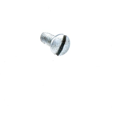 Screw