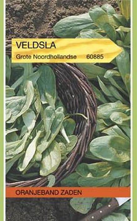 OBZ 660885 Veldsla Grote Noordhollandse