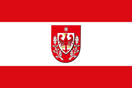 Vlag Teltow 100x150cm