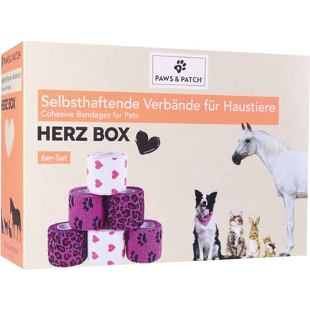 6x PAWS & PATCH zelfklevende gipsdoos hart hond