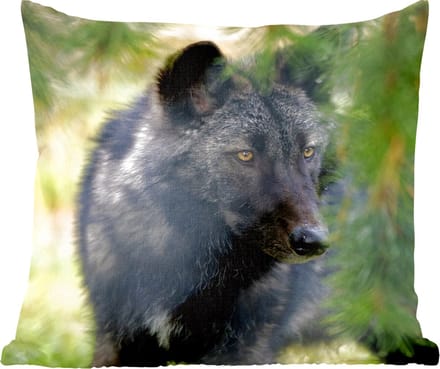 Sierkussens - Kussentjes Woonkamer - 60x60 cm - Wolf - Macro - Bladeren