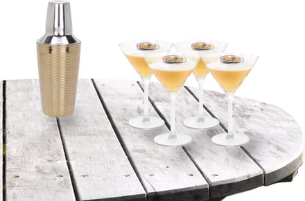 Excellent Houseware - Cocktailshaker 500 ML met 4x Martini cocktailglazen 260 ml