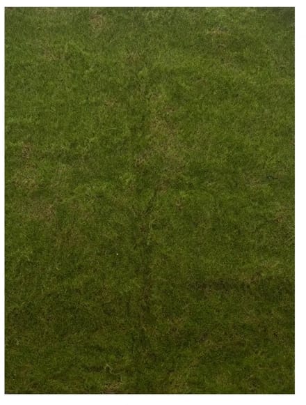 Kunstmat Moss Green - 100x100 cm