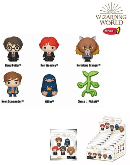 Wizarding World 3D Magnets Series 1 Display (12)