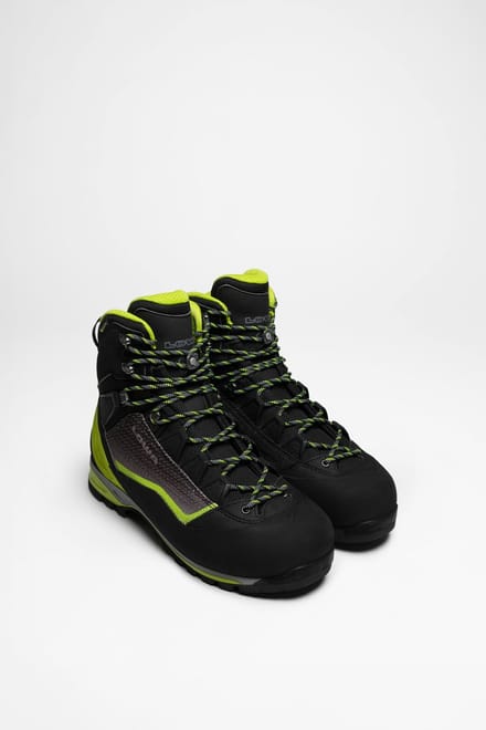 Alpine Pro GTX Heren (Zwart)