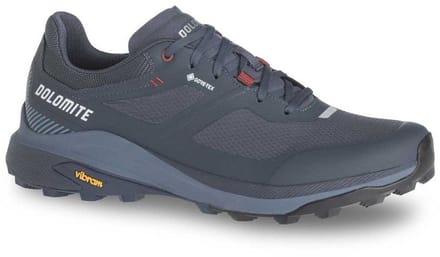 Dolomite Nibelia Gore-tex® Wandelschoenen Grijs EU 45 Man