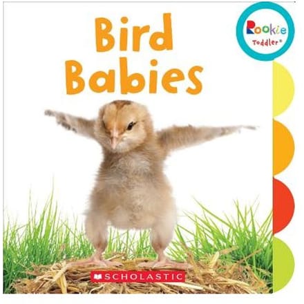 Bird Babies (Rookie Toddler) - Scholastic
