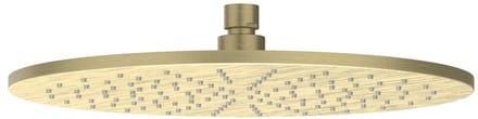 IVY Toebehoren Hoofddouche medium 30cm met antikalk nozzels RVS316 geborsteld mat goud PVD