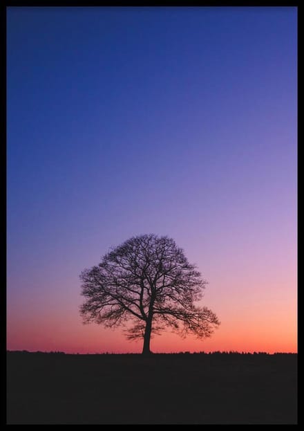 Poster Sunset Tree - 30x40cm Met Fotolijst - WALLLL