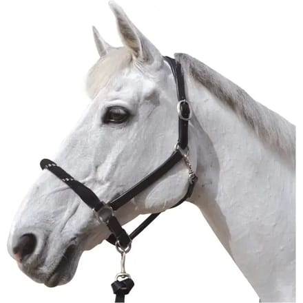Halster voor paarden Canter