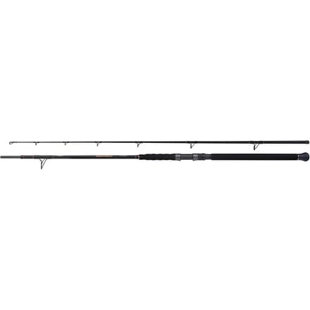Spinhengel Shimano Beastmaster Catfish Multi 200g
