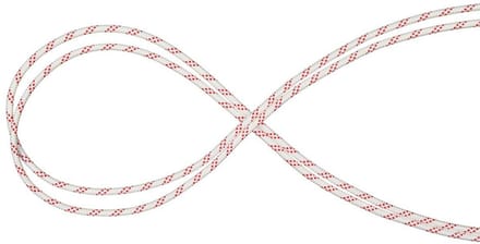 Mammut 10.0 Performance Static Touw Rood 100 m