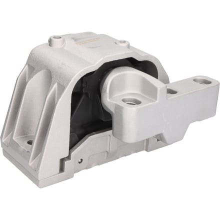 Motorsteun REINHOCH RH11-0166