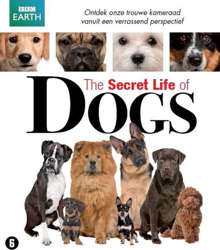 BBC Earth - The Secret Life Of Dogs (Blu-ray)