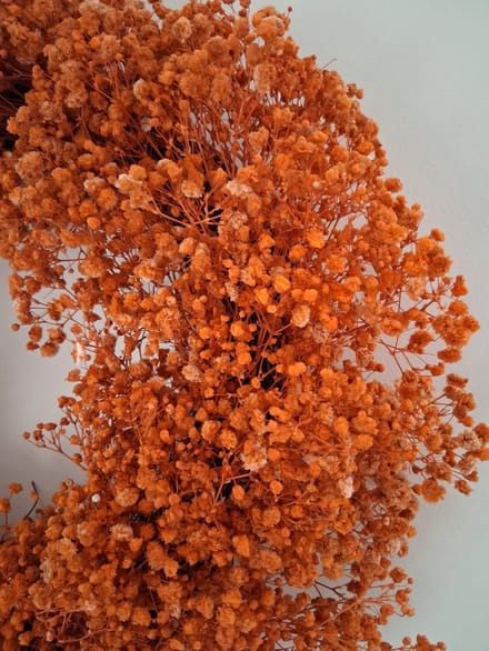 Gipskruid krans Ø38 cm – Oranje - voorjaar - decoratie - kransen