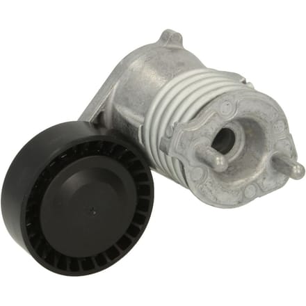 Riemspanner, Poly V-riem DAYCO APV3019