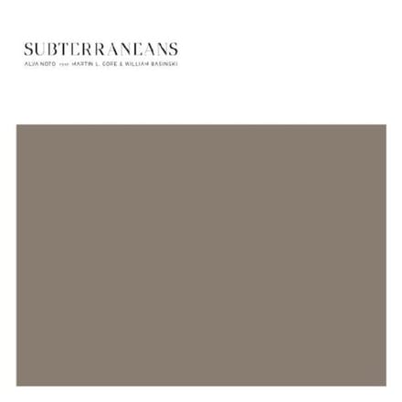 Alva Noto feat. Martin L. Gore & William Basinski - Subterraneans